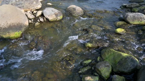 River clear water flow high angle view at rocky riverside Stock Footage 156744289