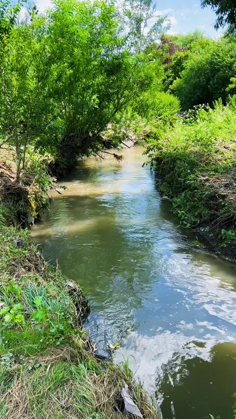 	A river with clear water flowing through a grassy bank. Vertical video. Stock-Footage 317388816