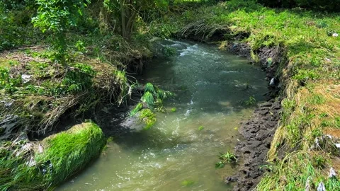 A river with clear water flowing through a grassy bank. 库存影片 317438335