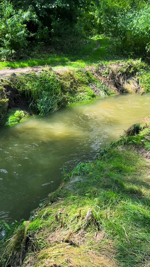 A river with clear water flowing through a grassy bank. Vertical video. Stock Footage 317438518