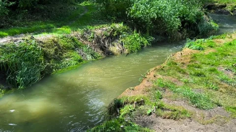 A river with clear water flowing through a grassy bank. 動画素材 317643054