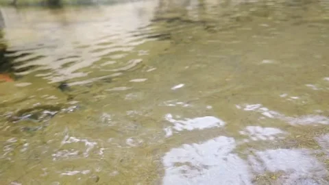 River clear water Stock Footage 234636930