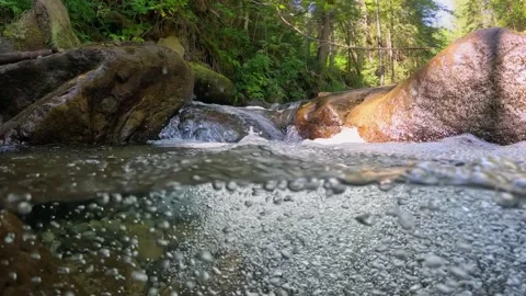 River with clear water in the tropical rainforest. Half underwater slow motion Stock Footage 253156136