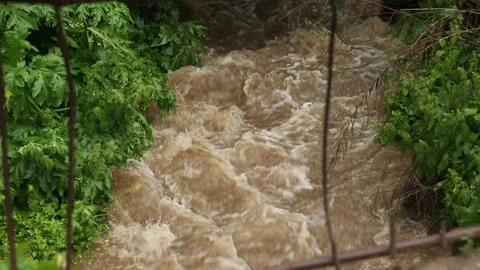 River close up 2 Stock Footage 317341421