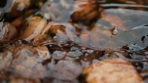 River Close Up Stock Footage 90862218