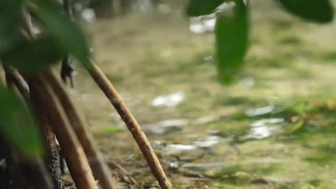 River Close up Stock Footage 142332034