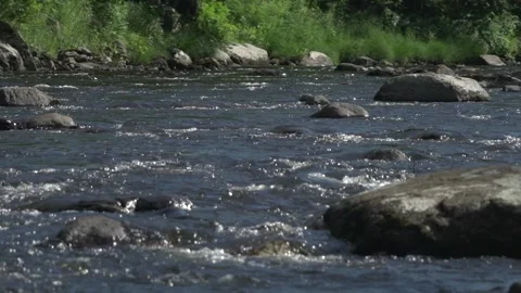 River close up Stock Footage 171342010