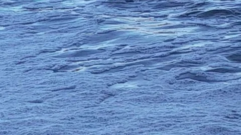 River close 库存影片 258299666