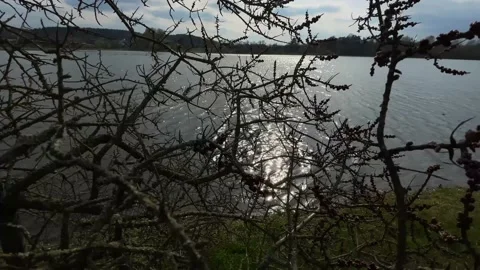 River with clouds during a sunny day Stock Footage 153987360