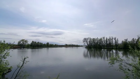 River in cloudy day Stock Footage 97525670
