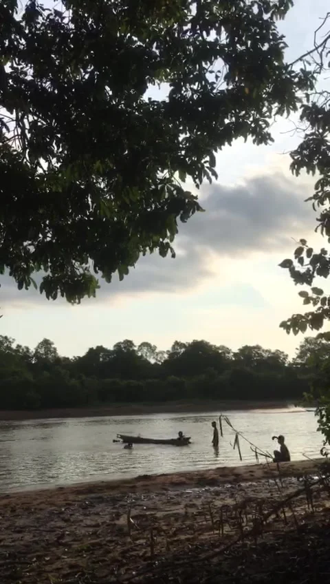 River coast in countryside Stock-Footage 244558752