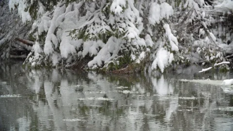 River Coast Covered with Snow Stock Footage 99926449