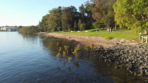 River Coastline Stock Footage 138219653