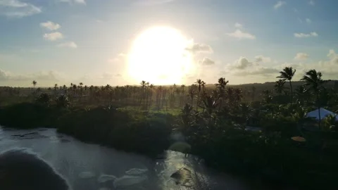 River to coconut tree on Beach Stock Footage 145693195