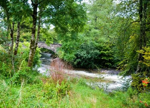 River coe Stock Photos