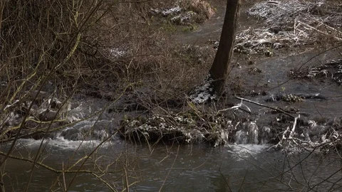 River Colne nr Thames winter day snow meltwater 動画素材 86597156