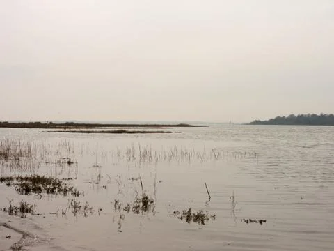 River Colne Stock Photos