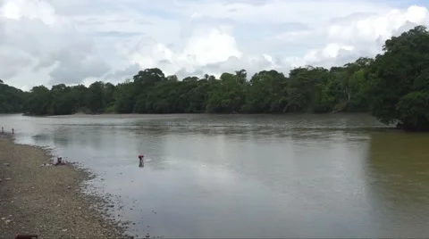 River in colombia choco 01 Video stock 60635671