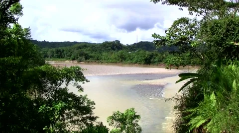 River in colombia choco 03 Video stock 60636605