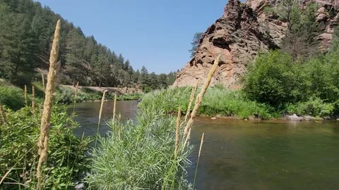 River at the Colorado mountains Stock Footage