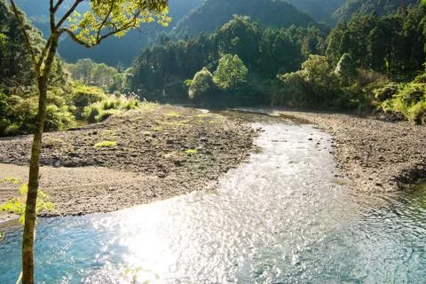 The river come from forest 스톡 사진