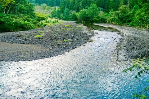 The river come from forest Фото