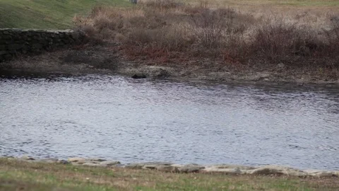 River at Concord Stock Footage 73748685