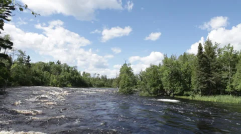 River-Conservation-Ecology-Forest-Spring-Clean-Water-0248 Stock Footage 34130457