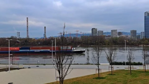 River container ship 스톡 동영상 310749936