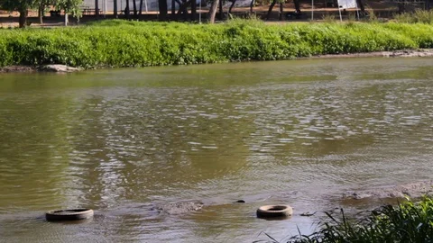 River contaminated with tires 動画素材 119341433