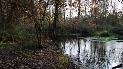 River corner with wooden bridge Video stock 83214812