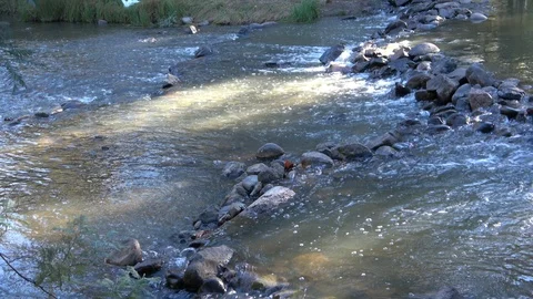 River at the cotter Australia Video stock 107412467