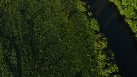 River in the countryside 스톡 동영상 111245794