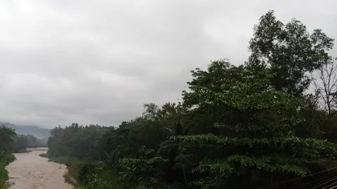 River in the countryside Stock Footage 219304505