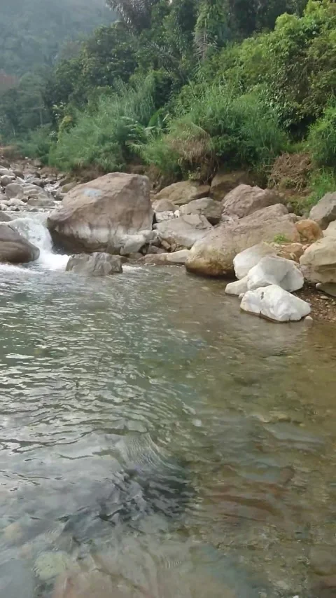 River in the countryside Stock Footage 234057756