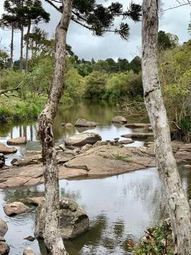 River course with rocks Stock Photos