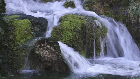 River course in spring Stock Footage 263189605