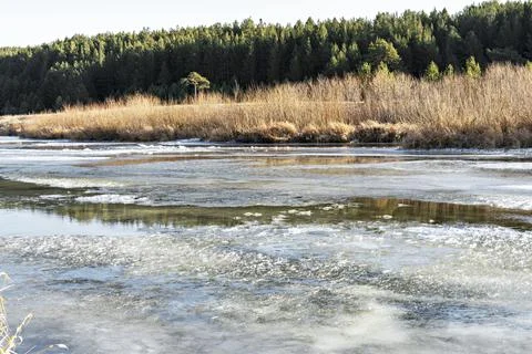 River covered with first ice and snow in late autumn or early winter forest Stock Photos