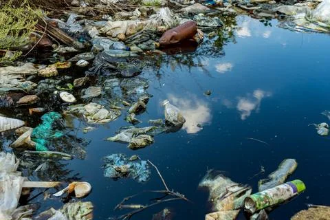 River covered with garbage. Garbage and pollution on water. Stockfoto's