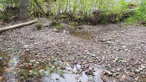 River Creek Overflow Flood Over Bank Stock-Footage 338256490