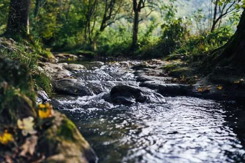A river creek with a small waterfall. Sunset and strong detail bokeh view. blue Stock Photos