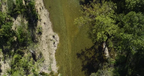 River Creek In A Sunny Forest At Devils Backbone Wilderness In Missouri, USA Stock Footage 325690250