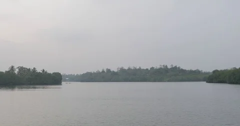 River with crocodiles Stock Footage 86648781