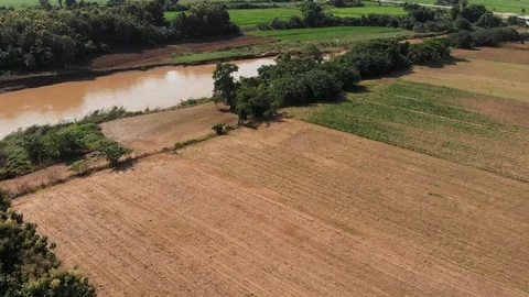 River with crop field Video stock 95939590