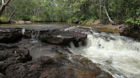 River Crossing in Australia HD Video stock 44618809