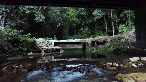 River Crossing with Concrete Bridge in Forest Stock Footage 306801766