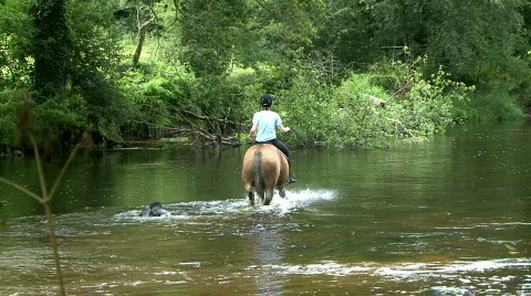 River Crossing Stock Footage 380698