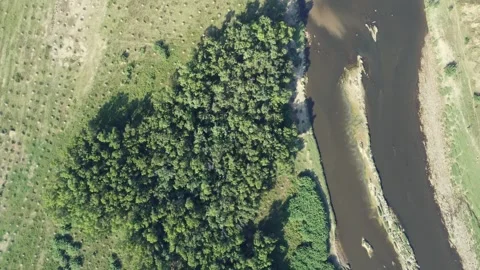 River crossing the forest Stock Footage 288183456