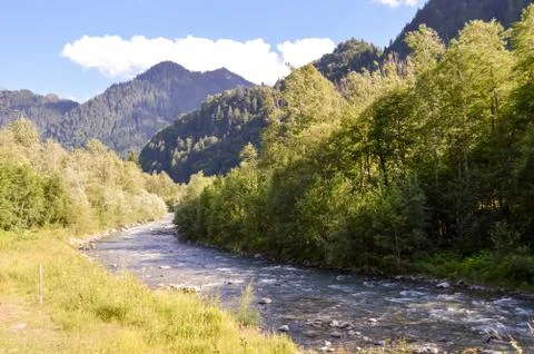 River crossing the forest Stock-Fotos