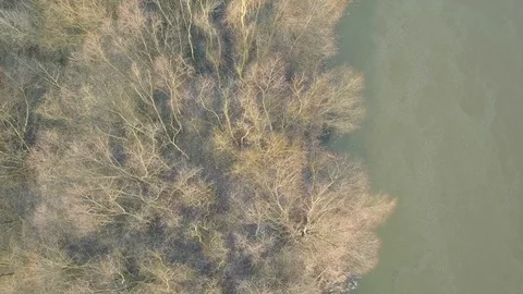 River crossing forest seen from above. Stock-Footage 124772264